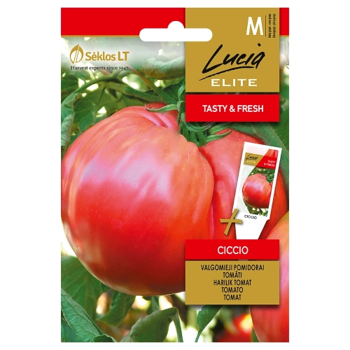 Pomidor Ciccio odmiana typu bawole serce o ogromnych owocach nasiona 0,1g - Lucia Elite