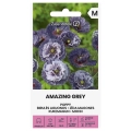 Mak polny Amazing Grey Blue o szaro-niebieskich kwiatostanach nasiona 0,3g - Žalia stotelė