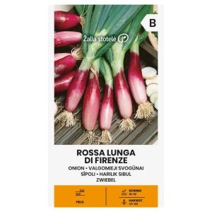 Cebula Rossa Lunga di Firenze bardzo plenna odmiana cebuli pęczkowej pochodząca z Włoch nasiona 2 g- Žalia stotelė