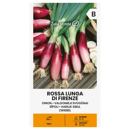 Cebula Rossa Lunga di Firenze bardzo plenna odmiana cebuli pęczkowej pochodząca z Włoch nasiona 2 g- Žalia stotelė