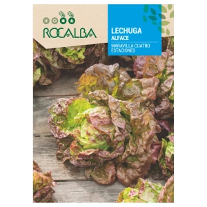 Sałata Maravilla Cuatro Estaciones odmiana o smacznych liściach nasiona 6 g - Rocalba