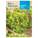 Sałata Salad Bowl odmiana o smacznych zielonych karbowanych liściach nasiona 6 g - Rocalba