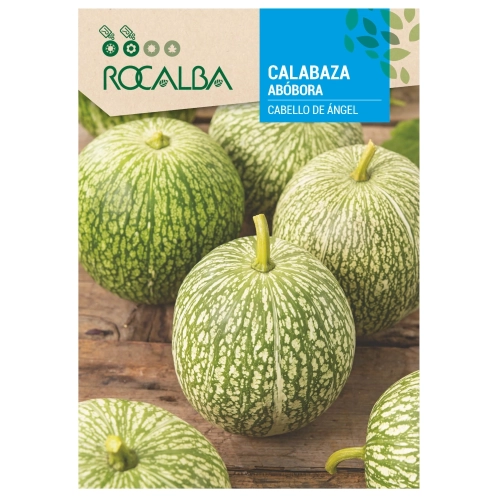 Dynia olbrzymia Cabello de Ángel odmiana o licznych owocach białą skórką z ciemnozielonym wzorem nasiona 6 g - Rocalba
