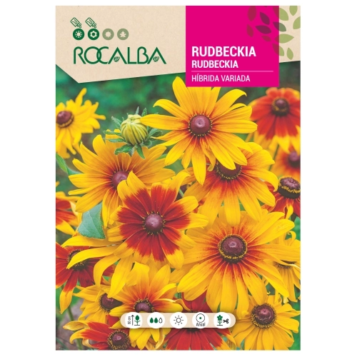 Rudbekia mieszańcowa Mixed o pięknych kolorowych kwiatach nasiona 3 g - Rocalba