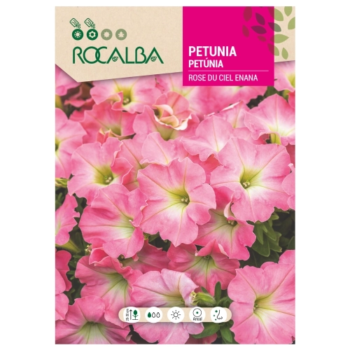 Petunia karłowa Rose du Ciel o pięknych różowych kwiatach nasiona 0,5 g - Rocalba