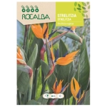 Strelicja królewska Strelitzia reginae o pięknych pomarańczowych kwiatach nasiona 3 szt. - Rocalba