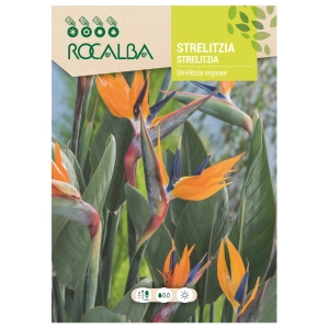 Strelicja królewska Strelitzia reginae o pięknych pomarańczowych kwiatach nasiona 3 szt. - Rocalba