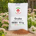 GRYKA 10 KG nasiona miododajna na poplon wzbogaca glebę - REDUM 