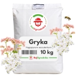 GRYKA 10 KG nasiona miododajna na poplon wzbogaca glebę - REDUM 