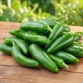 Papryka ostra Serrano ostrość 15 000 pcs. Scoville nasiona 0,5 g - Rocalba