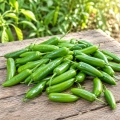 Papryka ostra Serrano ostrość 15 000 pcs. Scoville nasiona 0,5 g - Rocalba