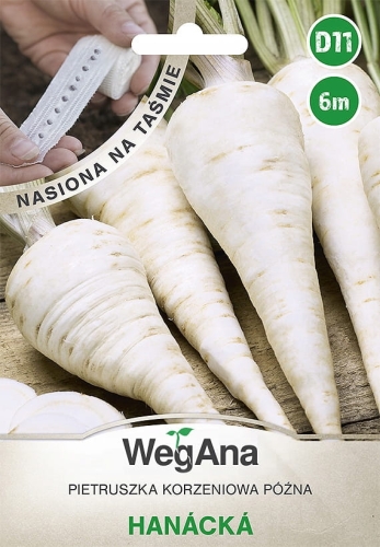 Pietruszka korzeniowa późna Hanacka nasiona na taśmie 6 m - WegAna