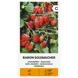 Poziomka Baron Solemacher odmiana bardzo plenna i smaczna nasiona 0,1 g - Žalia stotelė