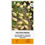 Poziomka Yellow Cream odmiana bardzo plenna o żółtych owocach nasiona 0,1 g - Žalia stotelė