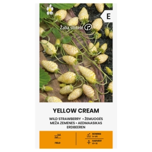 Poziomka Yellow Cream odmiana bardzo plenna o żółtych owocach nasiona 0,1 g - Žalia stotelė