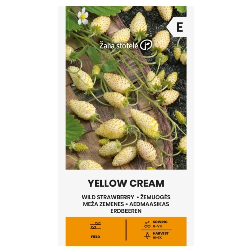 Poziomka Yellow Cream odmiana bardzo plenna o żółtych owocach nasiona 0,1 g - Žalia stotelė