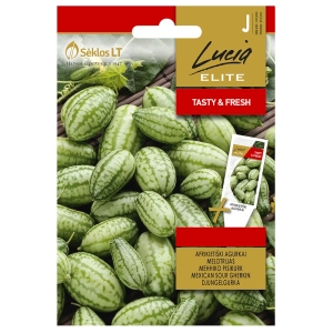Ogórek meksykański Mexican Sour o licznych smacznych owocach nasiona 20 szt. - Lucia Elite