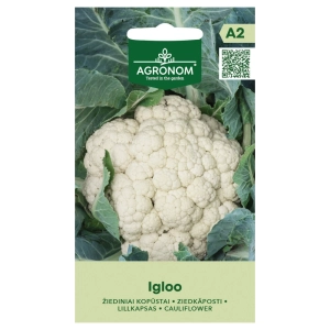 Kalafior Igloo odmiana tworzy zwarte i białe róże nasiona 0,5 g - AGRONOM