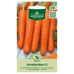 Marchew Amsterdam 2 odmiana wczesna i bardzo plenna nasiona 3 g - AGRONOM