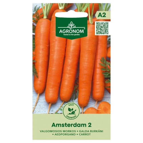Marchew Amsterdam 2 odmiana wczesna i bardzo plenna nasiona 3 g - AGRONOM