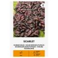 Fasola wielokwiatowa Scarlet odmiana smaczna fasolki w purpurowym kolorze z czarnymi smugami nasiona 10 g - Žalia stotelė