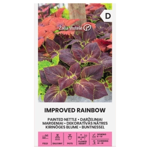 Koleus Blumego Improved Rainbow odmiana o dużych kolorowych liściach nasiona 0,1 g - Žalia stotelė
