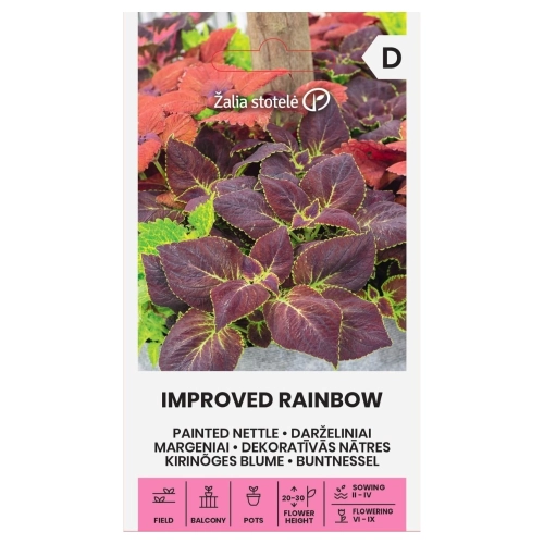 Koleus Blumego Improved Rainbow odmiana o dużych kolorowych liściach nasiona 0,1 g - Žalia stotelė