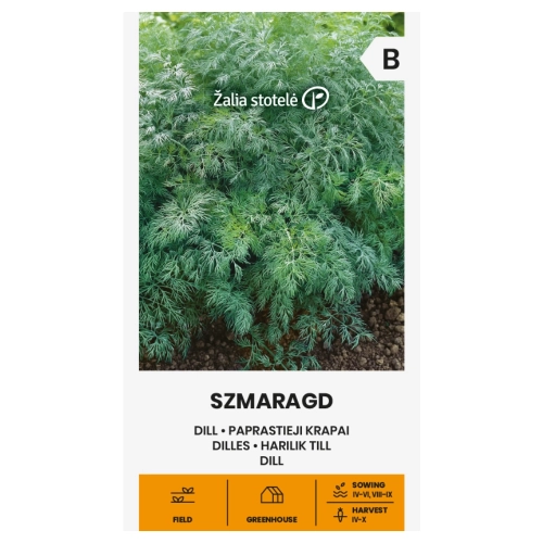 Koper ogrodowy Szmaragd odmiana o bardzo aromatycznych liściach nasiona 5 g - Žalia stotelė