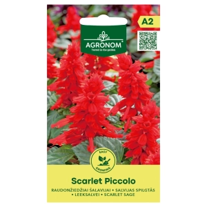 Szałwia błyszcząca Scarlet Piccolo odmiana pięknych czerwonych kwiatach nasiona 0,15 g - AGRONOM