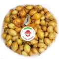 Cebula Dymka Senshyu Yellow Ozima 20-25 mm zimowa 10kg