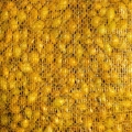 Cebula Dymka Senshyu Yellow Ozima 20-25 mm zimowa 10kg