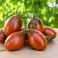 Pomidor Black Plum odmiana koktajlowa o smacznych owocach nasiona 30 szt. - ReinSaat