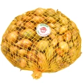 Cebula Dymka Senshyu Yellow ŻÓŁTA ZIMOWA (20-25mm) 500g PL