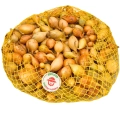 Cebula Dymka Senshyu Yellow ŻÓŁTA ZIMOWA (20-25mm) 500g PL