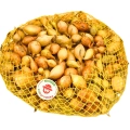 Cebula Dymka Senshyu Yellow ŻÓŁTA ZIMOWA (20-25mm) 500g PL