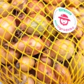 Cebula Dymka Senshyu Yellow ŻÓŁTA ZIMOWA (20-25mm) 500g PL