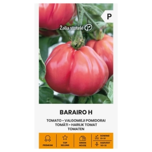 Pomidor Barairo H odmiana bardzo plenna typu beef nasiona 7 szt. - Žalia stotelė