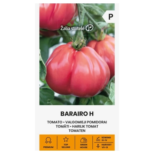 Pomidor Barairo H odmiana bardzo plenna typu beef nasiona 7 szt. - Žalia stotelė