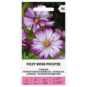 Kosmos podwójnie pierzasty Fizzy Rose Picotee odmiana o dwukolorowych kwiatach nasiona 1 g - Žalia stotelė