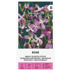 Maciejka różowa Night-Scented Stock Rose odmiana o licznych pięknie pachnących kwiatach nasiona 1 g - Žalia stotelė