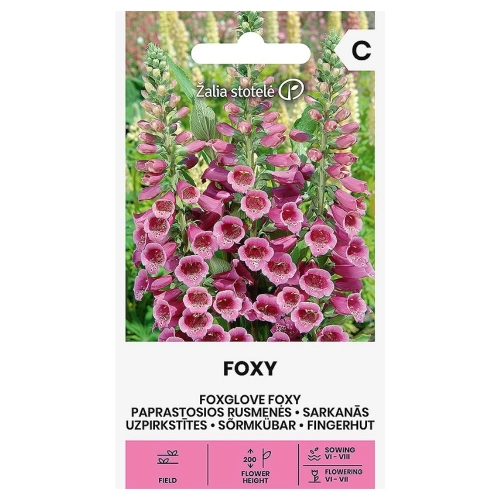 Naparstnica purpurowa Foxy Colour Mix odmiana o licznych kwiatach nasiona 0,2 g - Žalia stotelė