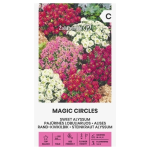 Smagliczka nadmorska Magic Circles odmiana o licznych kolorowych kwiatach nasiona 1 g - Žalia stotelė