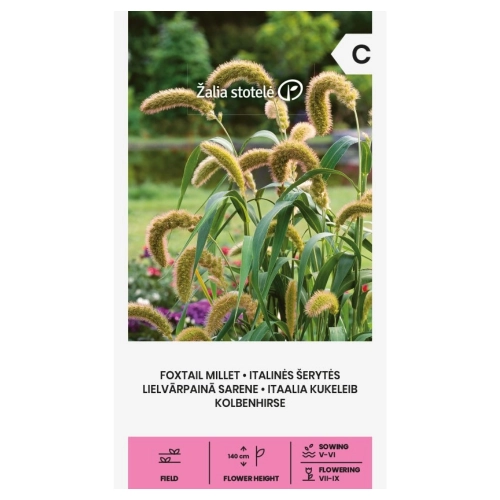 Włośnica ber Foxtail Millet trawa ozdobna jednoroczna nasiona 0,5 g - Žalia stotelė