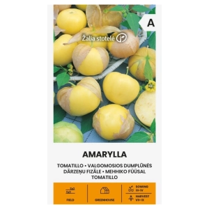 Miechunka pomidorowa Tomatillo Amarylla® odmiana o licznych dużych owocach nasiona 0,2 g - Žalia stotelė