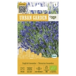 Lawenda wąskolistna English Lavender bardzo aromatyczna odmiana nasiona ekologiczne 0,4 g - Organic Way