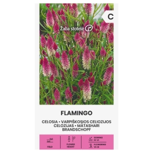 Celozja kłosowa Flamingo odmiana o licznych kwiatostanach nasiona 0,3 g - Žalia stotelė
