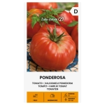 Pomidor Ponderosa odmiana bardzo plenna o dużych owocach do 400 g nasiona 0,1 g - Žalia stotelė