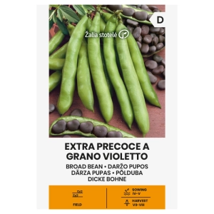 Bób Extra Precoce a Grano Violetto odmiana o dużych ziarnach nasiona 30 g - Žalia stotelė