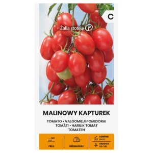 Pomidor Malinowy Kapturek odmiana bardzo plenna o smacznych owocach nasiona 0,1 g - Žalia stotelė