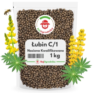 Łubin Żółty na poplon nasiona do siewu 1kg